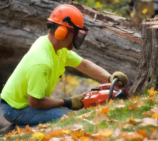 tree services Polkton